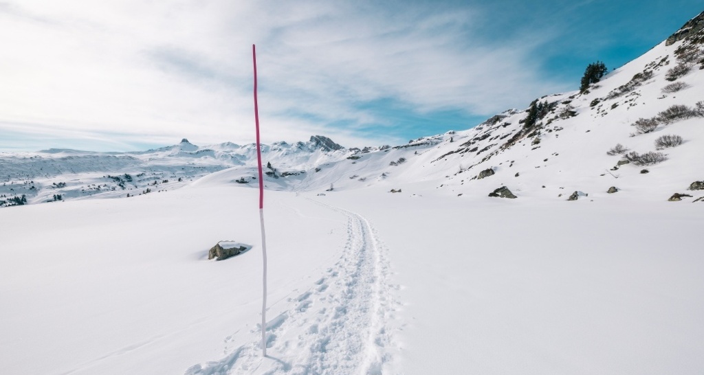 Schneeschuhtrail Plattis