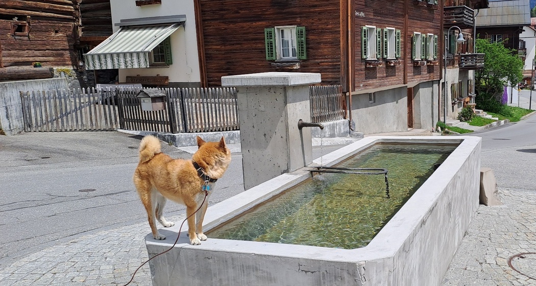 Wasserbrunnen Vitg Pign Flims Dorf (oua_79181788_image)
