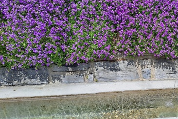 Wasserbrunnen Via Vitg Sura Flims Dorf (oua_79181789_image)