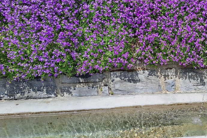 Fontana d'acqua via vitg sura flims dorf (oua_79181789_image)