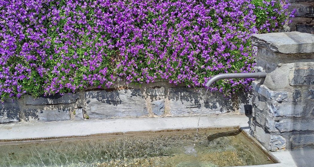 Wasserbrunnen Via Vitg Sura Flims Dorf (oua_79181789_image)