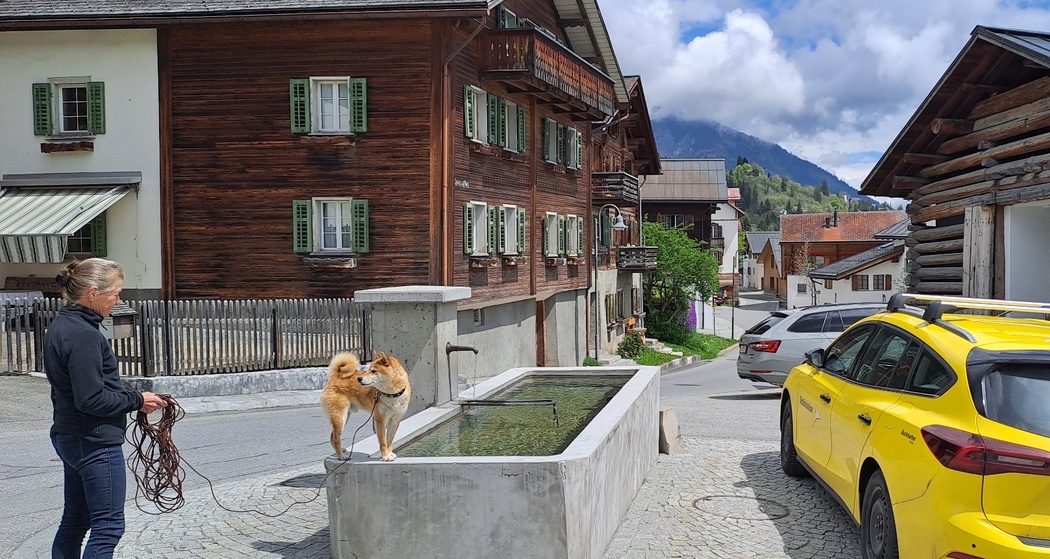 Wasserbrunnen Vitg Pign Flims Dorf (oua_79181794_image)
