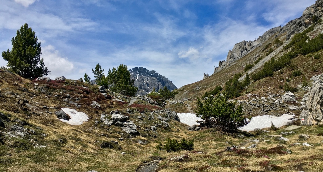 vom Ofenpass in Richtung Chaschlot