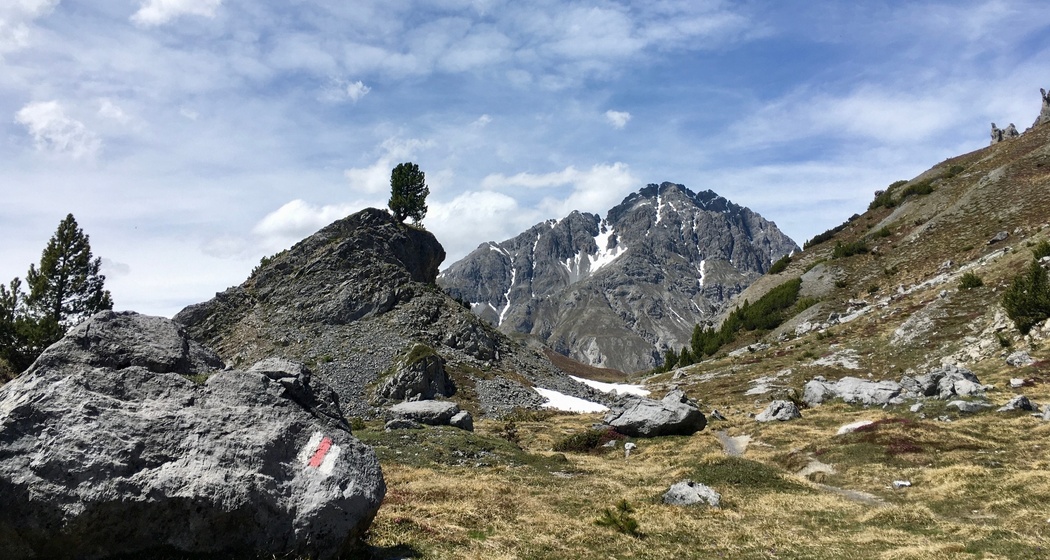 Vom Ofenpass in Richtung Chaschlot mit Blick auf den Nationalpark