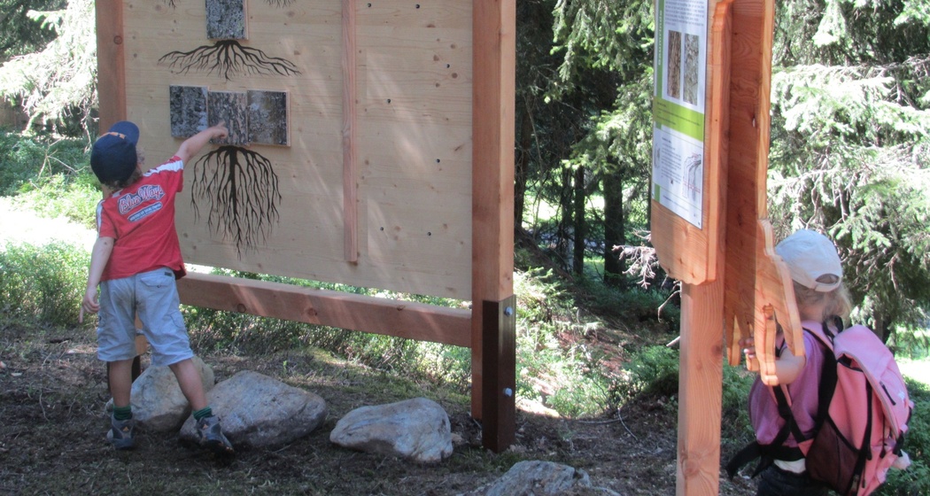 GWunderwald - Teilpfad 3 - Aebiwald (oua_79460131_image)