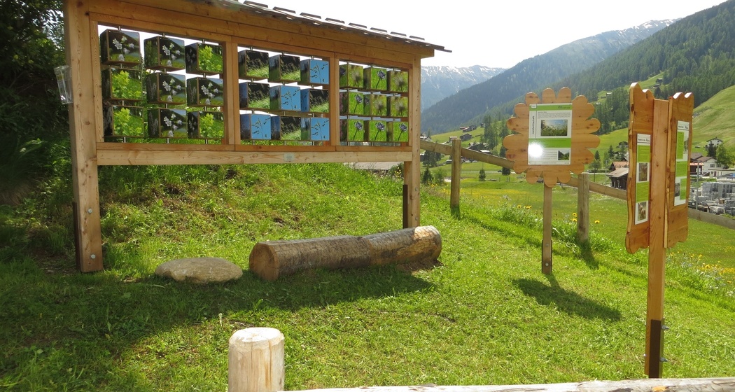 GWunderwald - Teilpfad 5 - Birchenwald (oua_79460146_image)