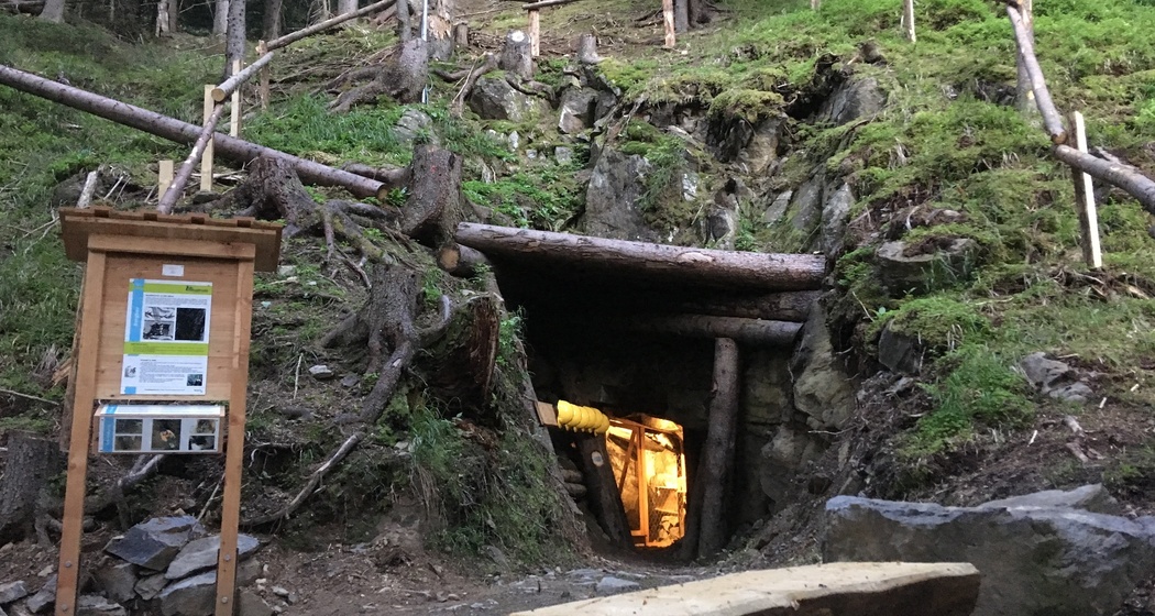 GWunderwald - Teilpfad 8 - Spina (oua_79460169_image)