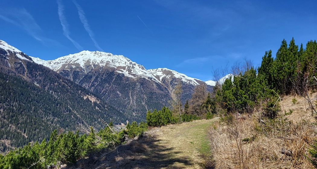 Zernez – Sivü (Rundweg) (oua_79460538_image)