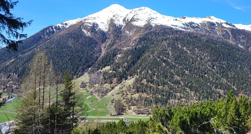 Zernez – Sivü (Rundweg) (oua_79460539_image)