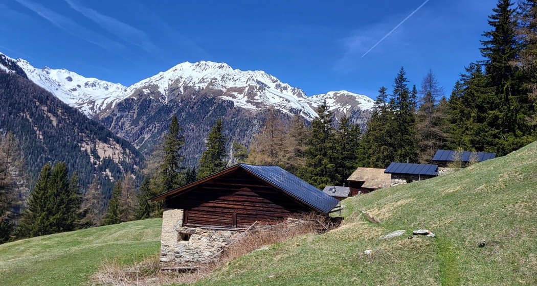 Zernez – Sivü (Rundweg) (oua_79460540_image)