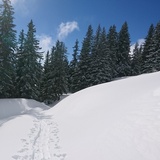 Signalisierter Schneeschuh-Trail: Ladir (oua_79534371_image)