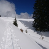 Signalisierter Schneeschuh-Trail: Ladir (oua_79534372_image)