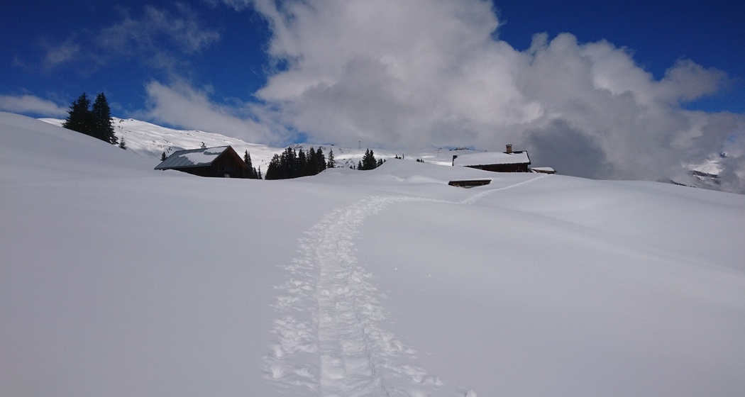 Signalisierter Schneeschuh-Trail: Ladir (oua_79534374_image)