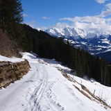 Snowshoeing Siat (oua_79535786_image)