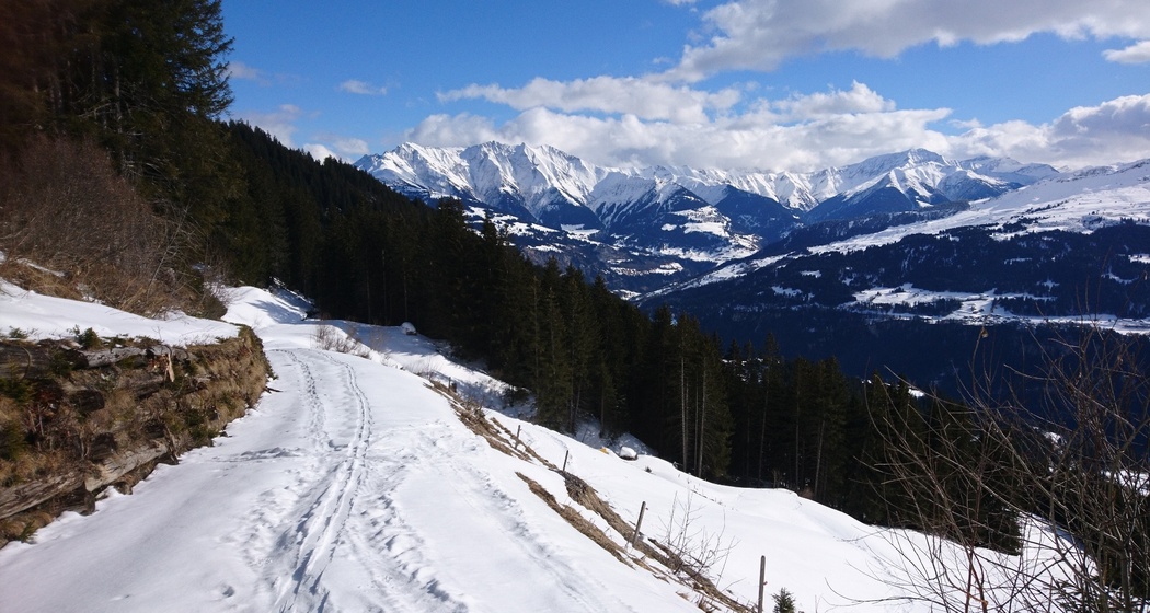 Schneeschuhwandern Siat (oua_79535786_image)