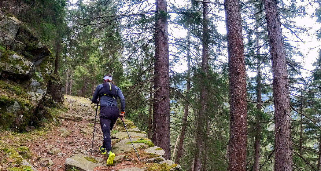 Rundstrecke Roffla - Cresta (oua_79651817_image)