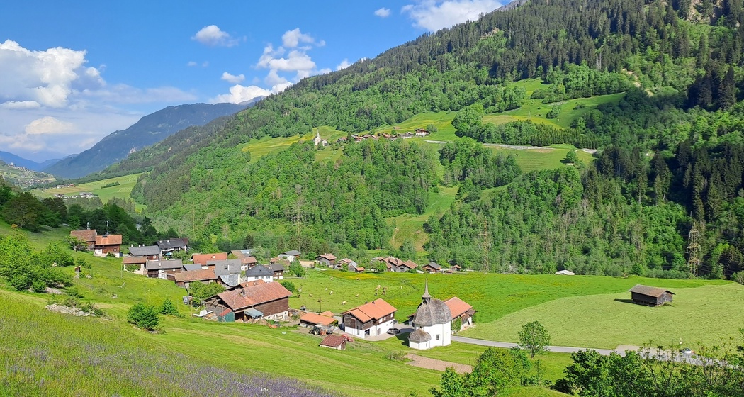 Disla mit Cavardiras