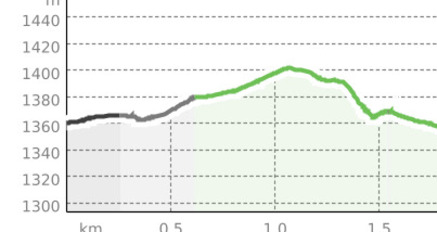 Bergün - Cresta Gronda - Brücke Ara - Buel - Bergün (oua_801211518_504c464_profile)