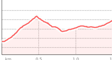 Schwifurgga (oua_801341752_64a87f3_profile)