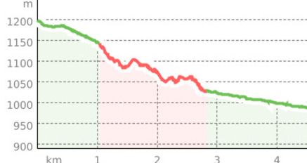 Alps Epic Trail: Wiesen - Filisur (oua_801366493_8124dde_profile)
