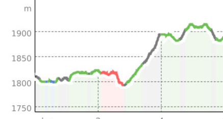 Wintertrailrunning zum Lägh da Cavloc (oua_802026872_716cdd4_profile)