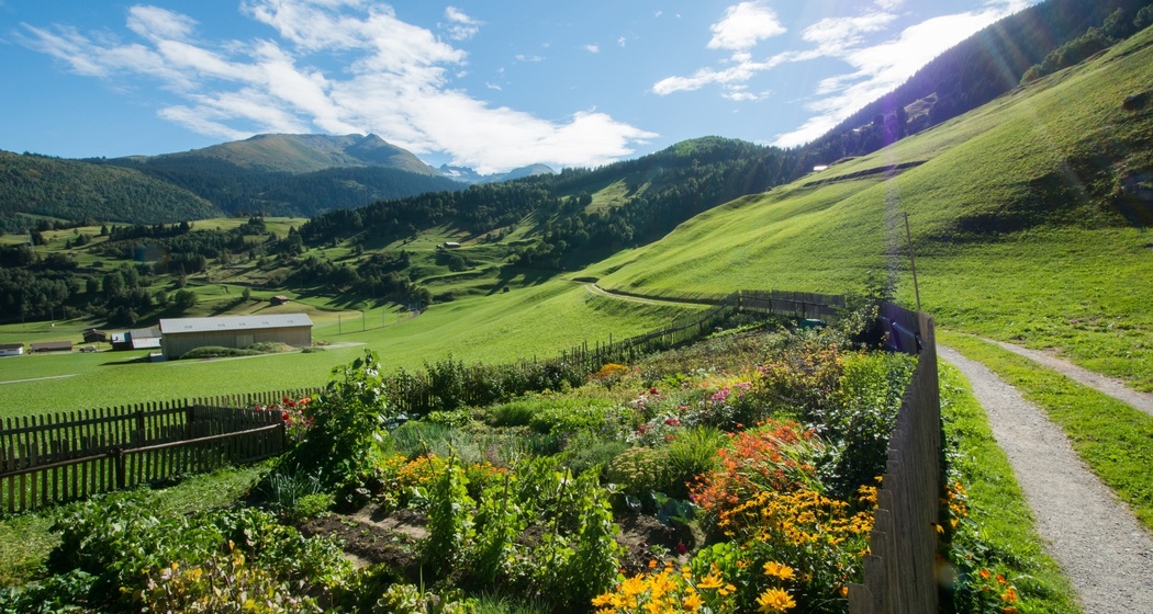 Von Segnas nach Mompé Tujetsch