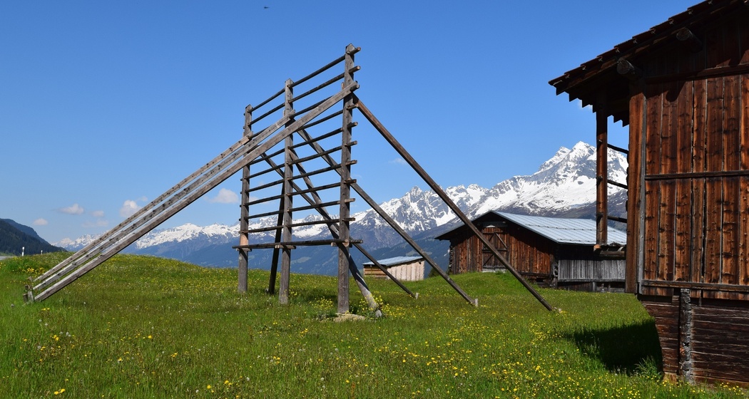 Detektiv Gemschi in Obersaxen Mundaun (oua_80267113_image)
