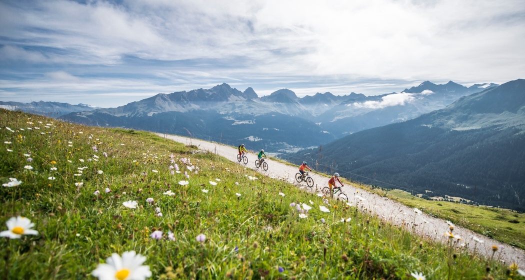 655 Radons Bike (oua_80268072_image)