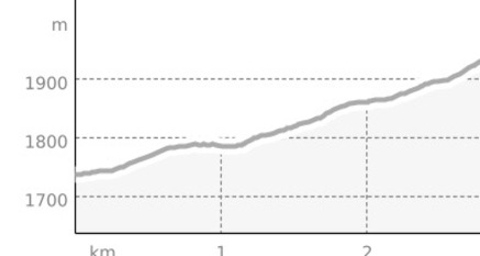 Bärenland Spendenlauf (oua_804572042_eec6531_profile)