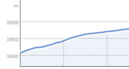 Run for Bears - Spendenlauf Arosa Bärenland 2025 kurz & Kinder (oua_804572158_bc9a242_profile)