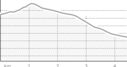 Piz Clünas – Abfahrt nach Ftan (oua_806084729_0813a77_profile)