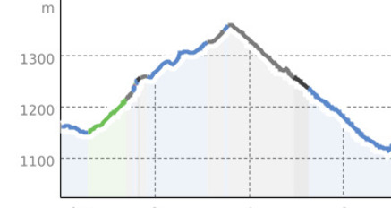 Savognin - Riom - Salouf - Savognin (oua_807090897_fadc6de_profile)