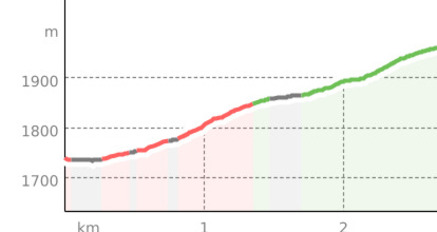 Run for Bears - Spendenlauf Arosa Bärenland 2025 Mittel (oua_807252798_3fcd14b_profile)