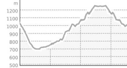 Rennradtour Laax – Vals – Laax | Ruhige Passstrasse im Valsertal (oua_809843019_5854abc_profile)