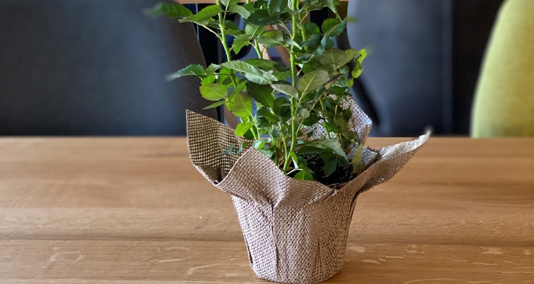 ARGO Café Restaurant (oua_81006549_image)