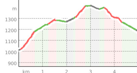 Poschiavo - Calscinan - Poschiavo (oua_810169552_2296bfd_profile)