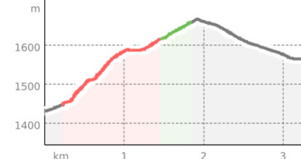 Jakobsweg (Nr. 43): Guarda – Ardez (oua_810446385_bfbff36_profile)