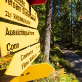 659 Senda Ruinaulta (GRF) (oua_81114615_image)