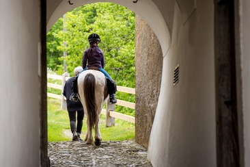 On Icelandic horses through Splügen
