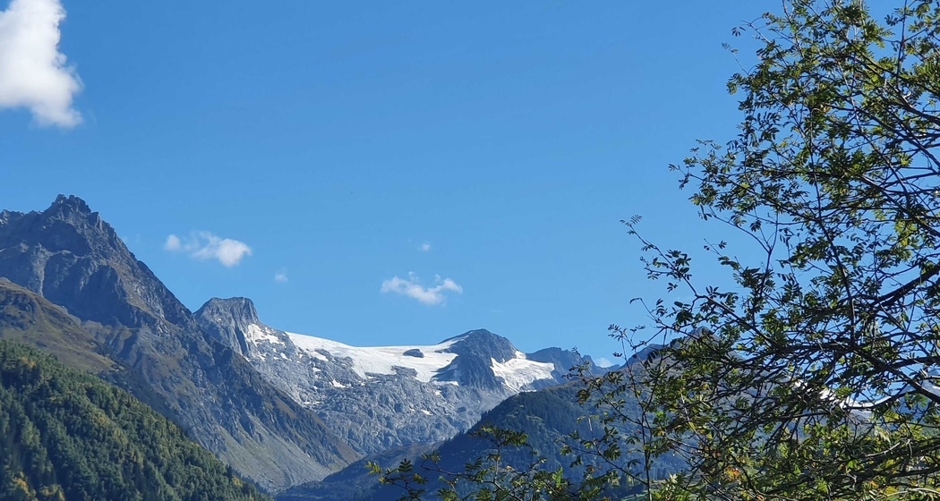 Casa Aviul Saxer (oua_81225722_image)