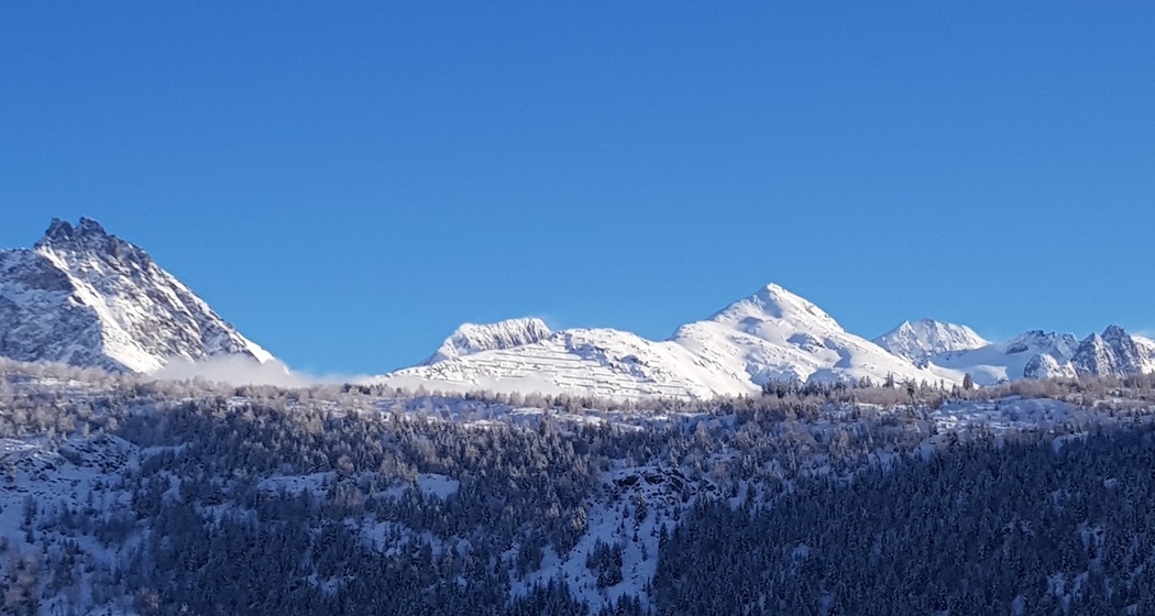 Casa Aviul Saxer (oua_81225723_image)