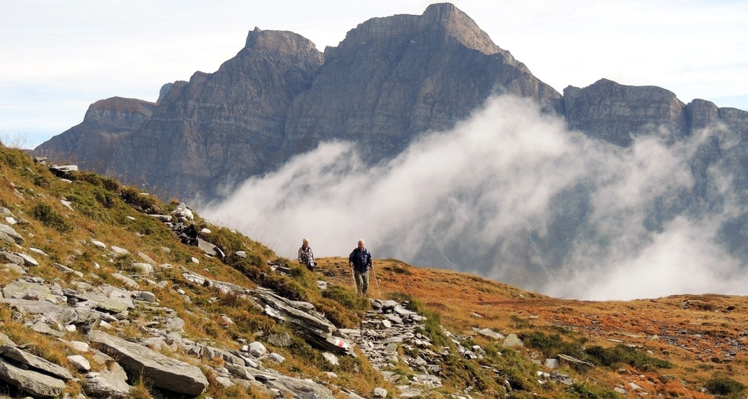 Tour Commercialstrasse (oua_81345249_image)