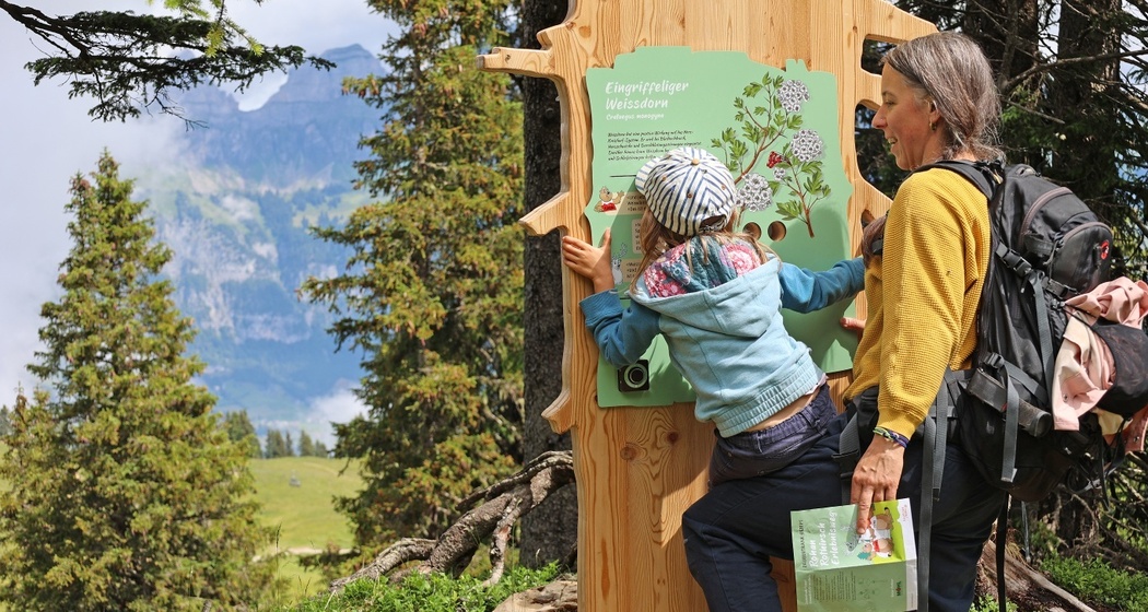 Erlebnisweg Rohan Rothirsch: Kinder lösen an verschiedenen Stationen Rätsel, erfüllen aktiv Aufgaben und erleben die spannende Geschichte von Rothirsch Rohan.