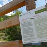 Chatscha jaura – Schnitzeljagd (oua_81718902_image)