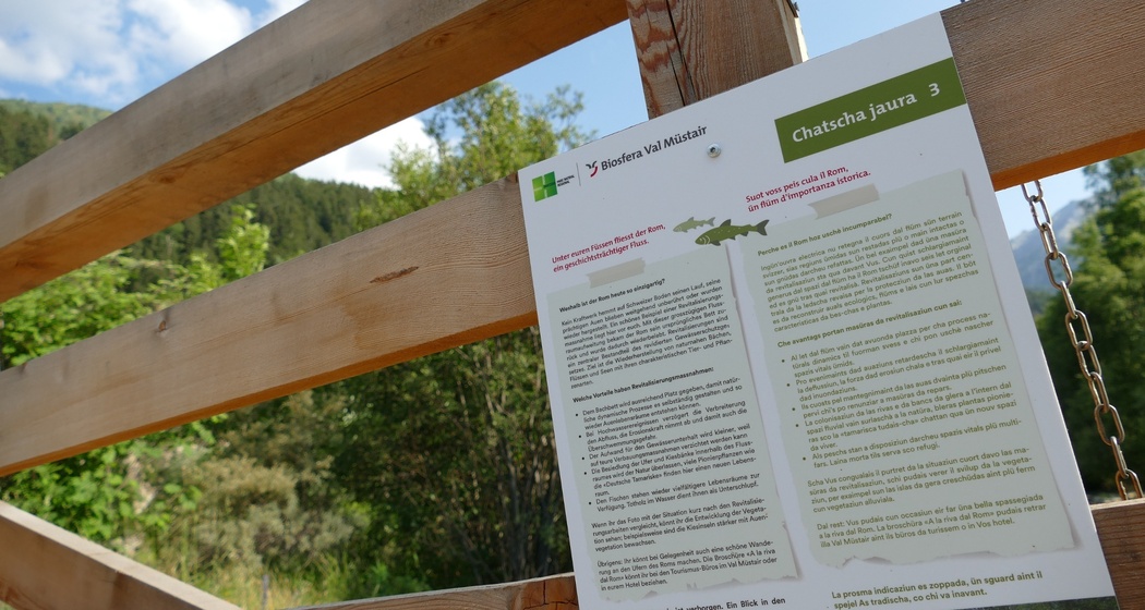 Chatscha jaura – Schnitzeljagd (oua_81718902_image)