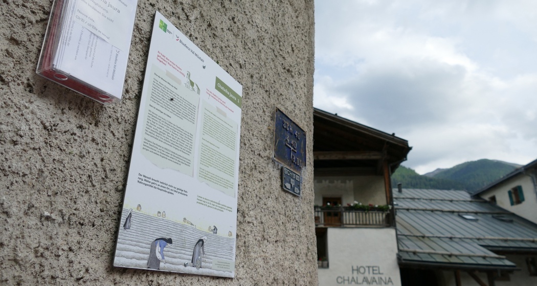 Chatscha jaura – Schnitzeljagd (oua_81718904_image)