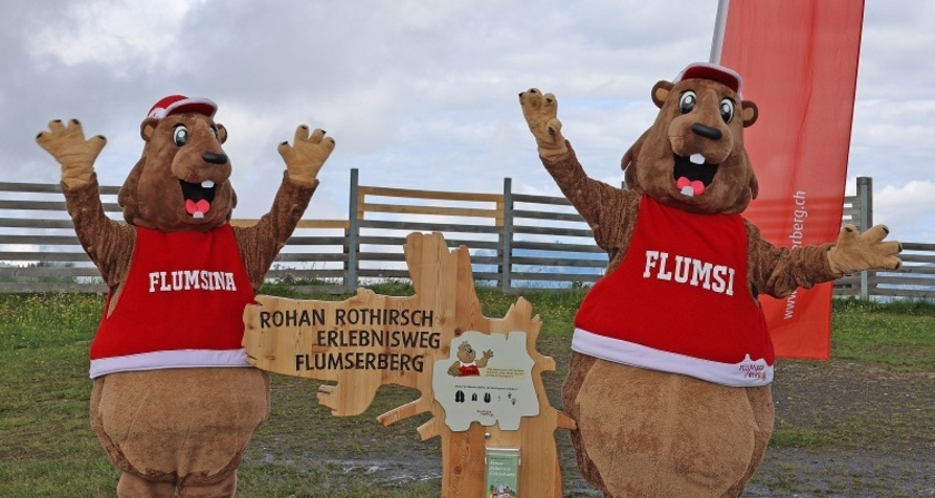 Erlebnisweg Rohan Rothirsch