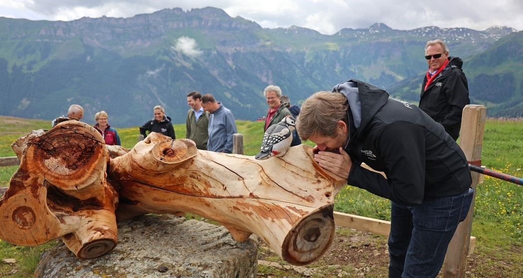 Erlebnisweg Rohan Rothirsch