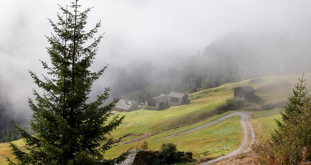 Gadastatt - Moos -Leis - Vals (oua_82026951_image)