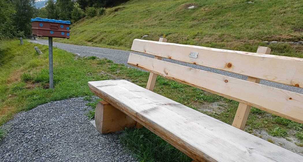 Lesebank Plattas, Brigels